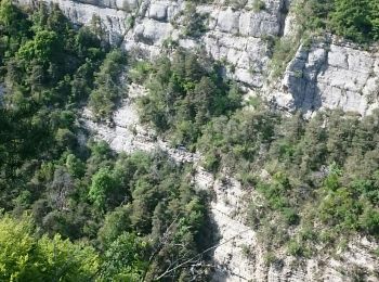 Excursión Senderismo Apremont - Sur les hauteurs d'Apremont - Photo