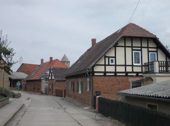 Tocht Te voet Wetterzeube - Geopfad Droyßiger Zeitzer Forst - Photo