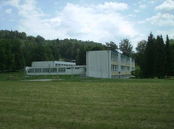 Tocht Te voet Kapfenberg - Keltenrundwanderweg - Photo