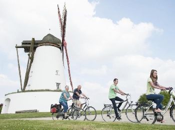 Tour Hybrid-Bike Ellezelles - Pointsnoeuds - Photo