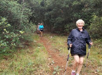 Tocht Stappen Bargemon - Les bois de Favas et de Coste Rousse 1 - Photo