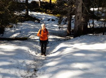 Tour Wandern Glières-Val-de-Borne - GLIERES: TOUR DE LA MONTAGNE DES FRETES  mai 2023 - Photo