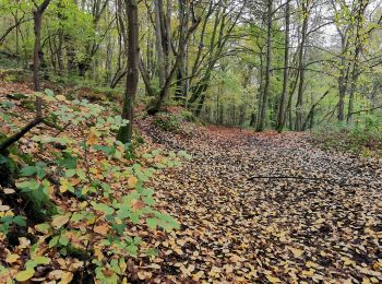 Randonnée Marche Baron-sur-Odon - Baron-sur-Odon 6,8 km - Photo