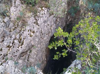 Tocht Stappen Vallon-Pont-d'Arc - 26 grottes deroc Chauvet zel - Photo