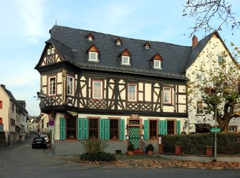 Tour Zu Fuß Eltville am Rhein - Wanderweg 2 Pfeile - Photo