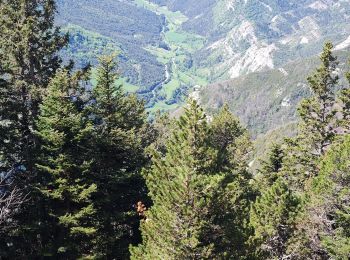 Tocht Stappen Saint-Agnan-en-Vercors - Plateau de Beure - Tête du Faisan - Photo