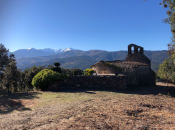 Excursión Senderismo Caixas - 20211118 boucle depuis Chapelle Fontcouverte - Photo