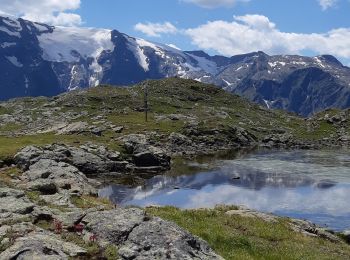 Tocht Stappen Besse - emparis - Photo