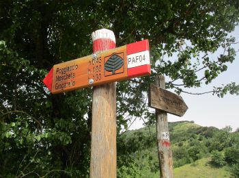 Tocht Te voet Borgo San Lorenzo - IT-PAF03 - Photo