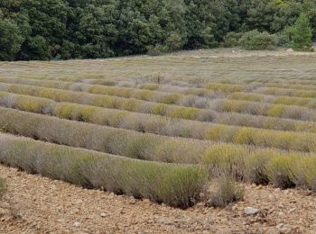 Tour Wandern Lioux - Autour du chateau de Javon - Photo