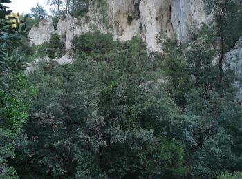 Excursión Senderismo Cuges-les-Pins - Jean de lorette, grotte et mémorial  - Photo