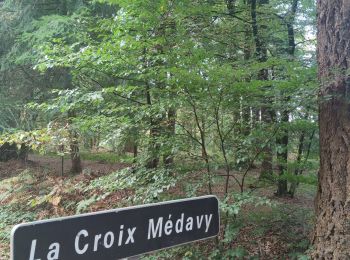 Trail Walking La Ferrière-Béchet - Forêt d'Ecouves - Photo