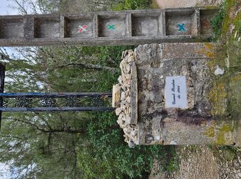 Tour Wandern Tourves - Chapelle Saint Probace-Caramy - Photo