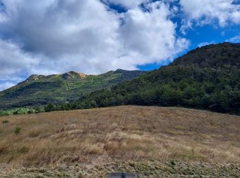 Tour Wandern Rosans - Le Fourchat - Photo