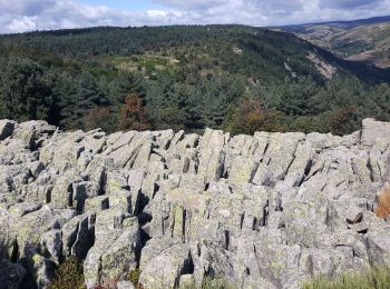 Randonnée Marche Montselgues - Montselgues Lespinas Liepertes - Photo