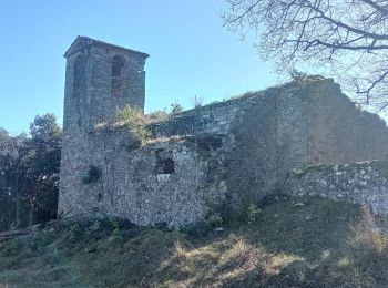 Trail On foot Sant Feliu de Pallerols - Sant Feliu de Pallerols-Sant Pere Sacosta-La Salut - Photo