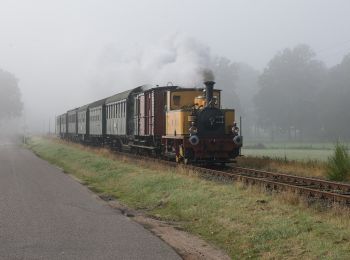 Percorso A piedi Enschede - Wandelnetwerk Twente - blauwe route - Photo