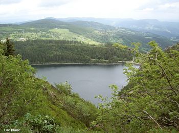 Randonnée A pied Le Valtin - 20. Les belvédères des trois lacs - Photo