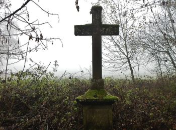 Tocht Te voet Zimmern ob Rottweil - Horgen-Ruinie Wildenstein - Photo