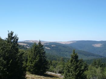 Randonnée Marche Goldbach-Altenbach - Firstacker - Grand Ballon (11/08/2022) - Photo