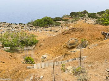 Tocht Stappen Vallehermoso - Valdemosso La Gomera - Photo