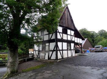 Excursión A pie Arnsberg - [h] Panoramaweg Herdringen - Photo