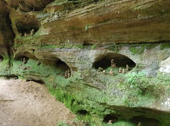 Excursión Senderismo Berdorf - Mullerthal Balisage E1 - Photo