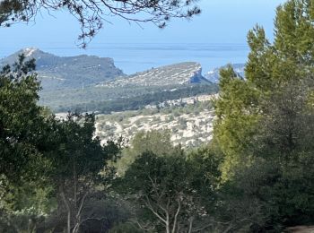 Randonnée Marche Roquefort-la-Bédoule - Ceyreste  grand Caunet Roland - Photo