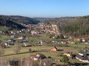 Tocht Stappen Walscheid - Walsheid- site archéologique - Photo
