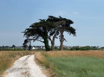 Trail Walking Riantec - Île de Kernec - Photo