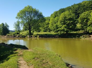 Tour Wandern Camps-sur-l'Agly - Cathares E2 Camps s/Agly Bugarach 02.06.2019 - Photo