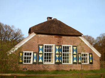 Percorso A piedi Raalte - WNW Salland - Het Raan/Krieghuisbelten - blauwe route - Photo