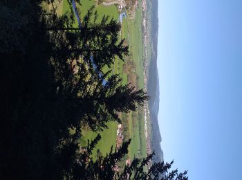 Randonnée Marche Grand'Combe-Châteleu - Grand Combe Chateleu - Photo