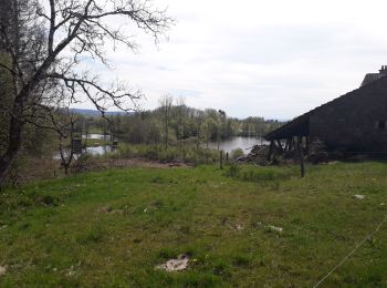 Randonnée Marche Esmoulières - randonnée Esmoulières - Photo