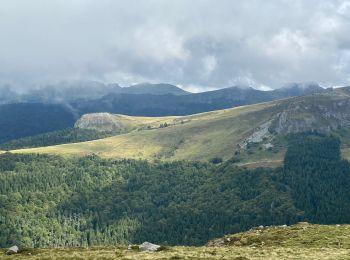 Excursión Senderismo Saint-Projet-de-Salers - Col de Legal Cabrespine  - Photo