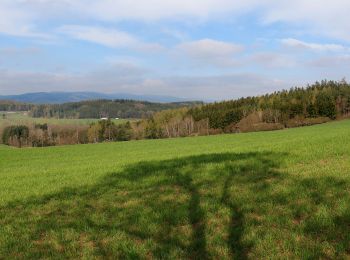 Trail On foot Pasečnice - NS V Zelenovském údolí - Photo