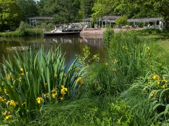 Trail On foot Bad Bevensen - Strecke Nr. 6 - Photo