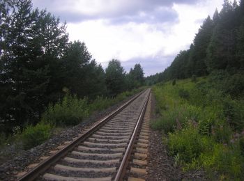 Percorso A piedi Liperi - FI-Pahak - Photo