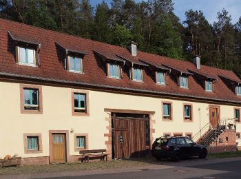 Randonnée A pied Stelzenberg - Wanderweg Stelzenberg Horst 1 - Photo