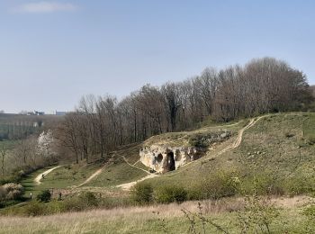 Randonnée Marche Riemst - autour de Kanne  - Photo