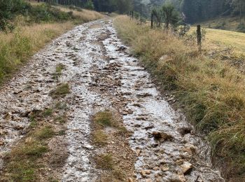 Excursión Senderismo Deux-Verges - Le puy de la tuile  - Photo