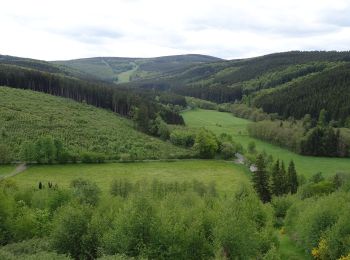 Excursión A pie Brilon - Hessenweg 6, Abschnitt Brilon - Willingen - Photo