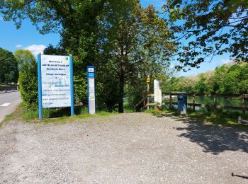 Tour Wandern Lestelle-Bétharram - Lestelle les grottes G4 - Photo