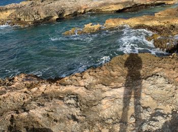 Randonnée Trail Saint-François - Anse la gourde  - Photo