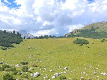 Tocht Stappen Marèo - Enneberg - Marebbe - DOLOMITES 03 - Refugio Sennes 2126 m - Photo