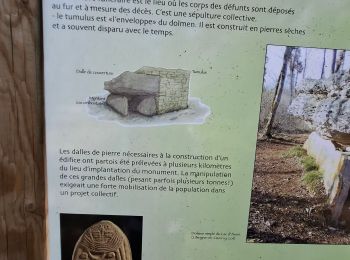 Randonnée V.T.T. Limogne-en-Quercy - circuit des Dolmens - Photo