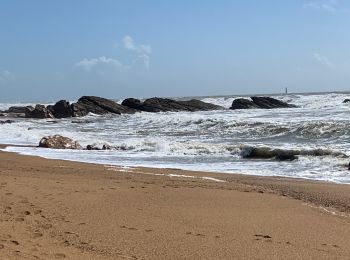 Tocht Stappen Les Sables-d'Olonne - Zot/tinou le mehnir  - Photo