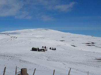 Tocht Stappen Pailherols - rando sentier des  gentianes - Photo