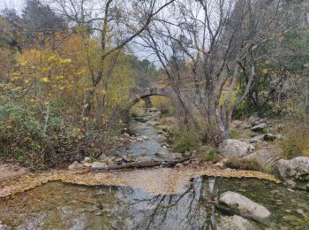 Tour Wandern Tourves - Le Caramy - Photo