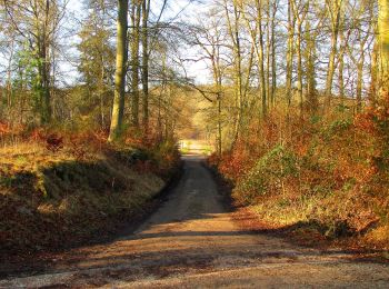 Tocht Stappen Vieux-Moulin - en forêt de Compiègne_25_les Tournantes du Mont Saint-Pierre - Photo